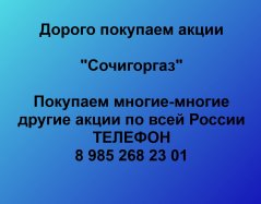 Покупаем акции ОАО Сочигоргаз