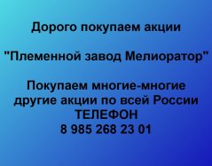 Покупаем акции ОАО Племенной завод Мелиоратор